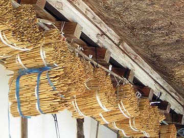 Bienen