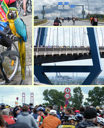 自転車のツアー