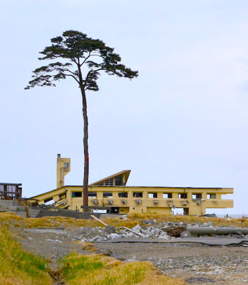 Kesennuma